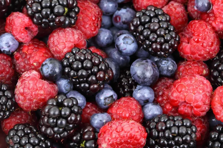 Maline i kupine